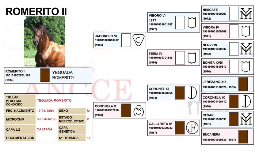 romerito Pedigree