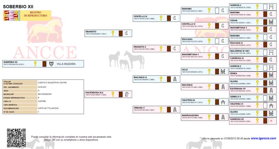 Soberbio II pedigree